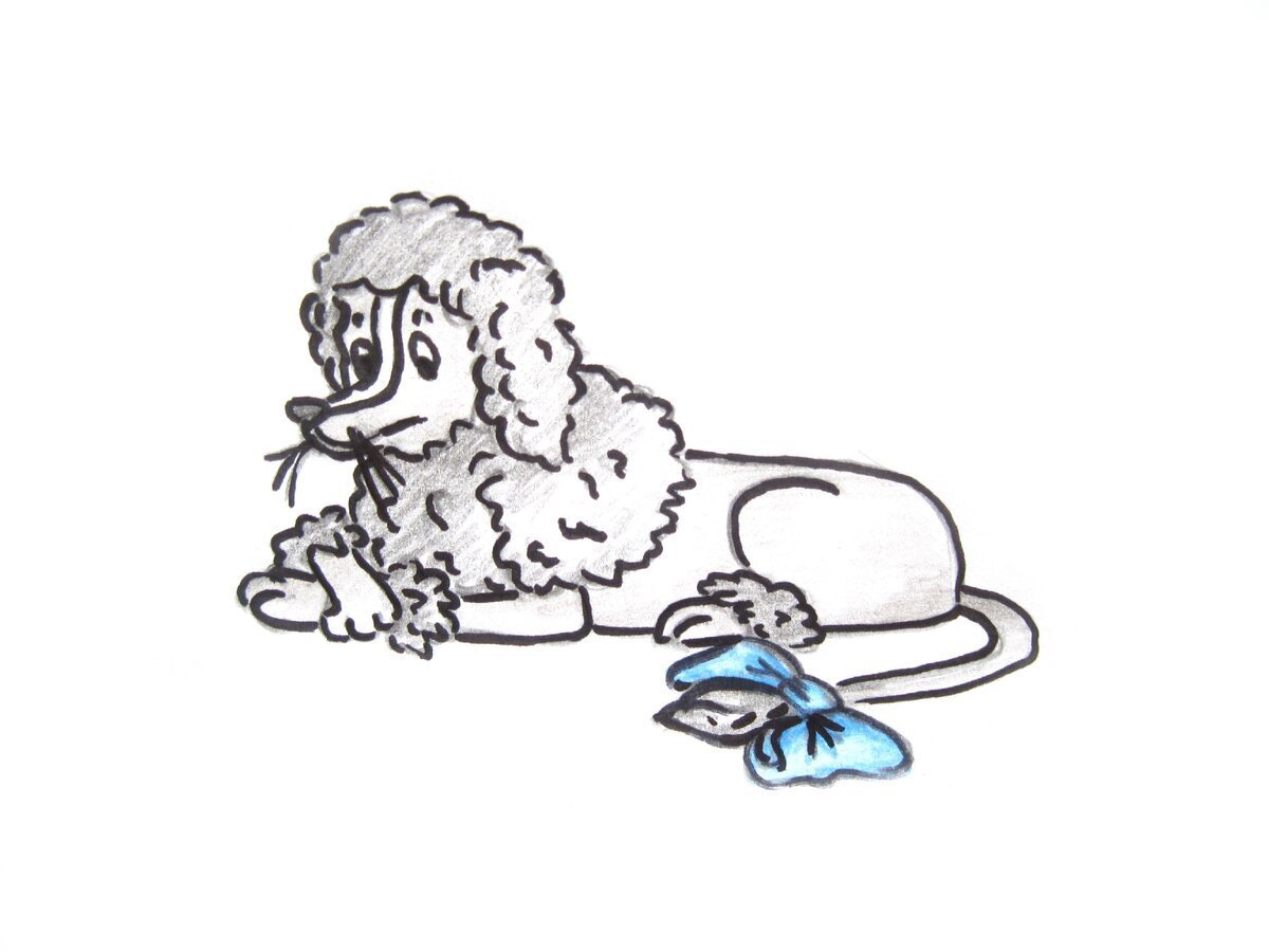 Силуэт пуделя