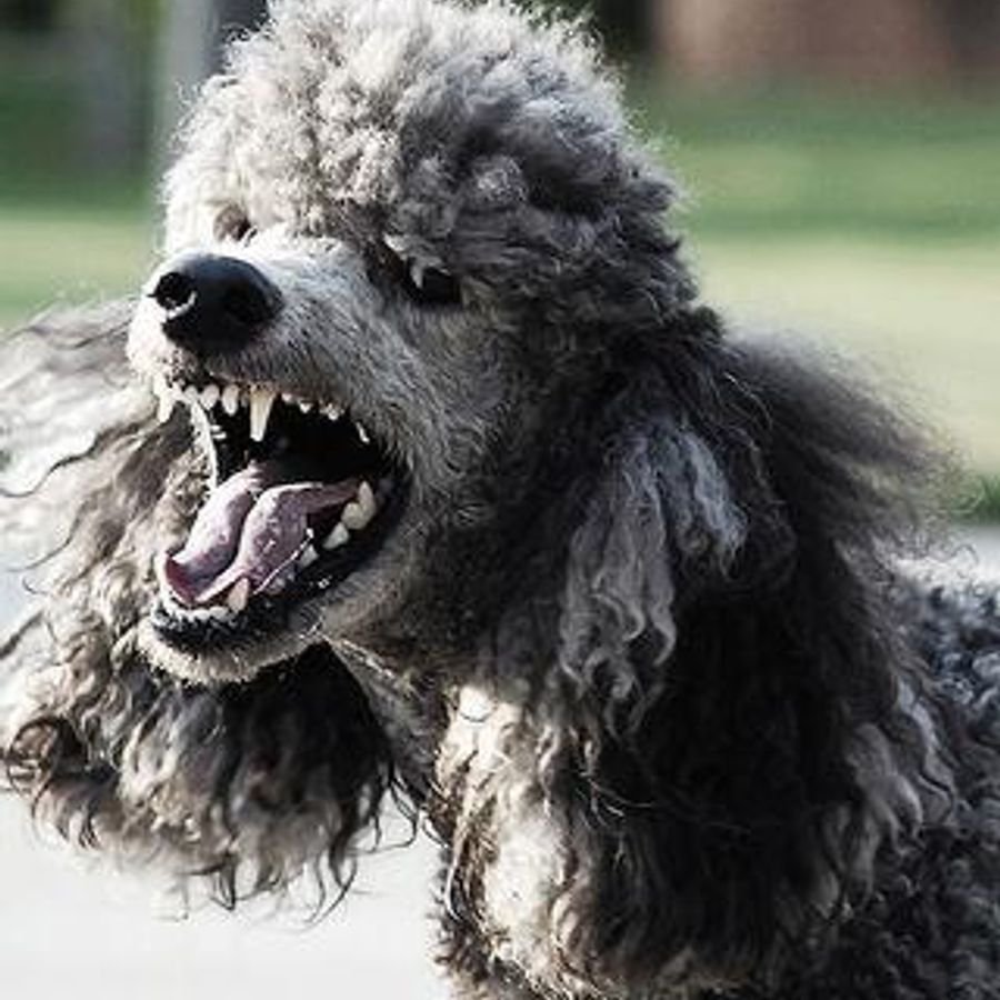 Буратино фильм 1975 Мальвина Пьеро