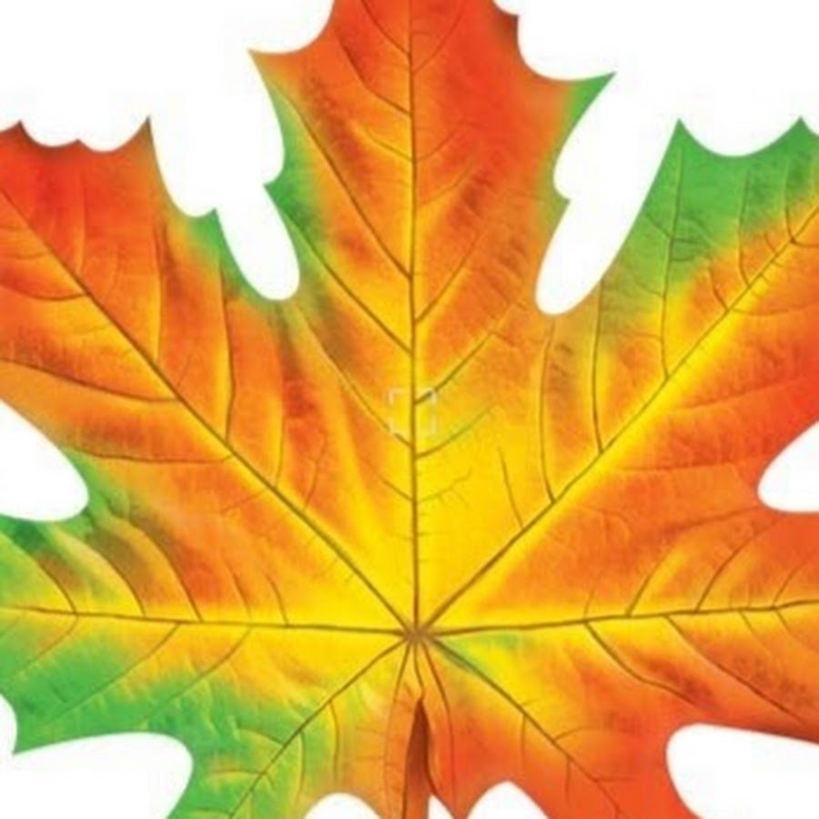 Кленовый лист печать