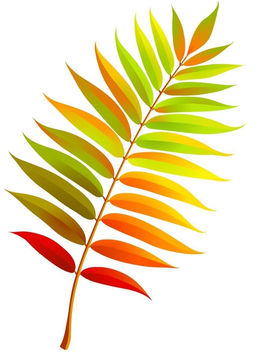 Осенние листья картинки