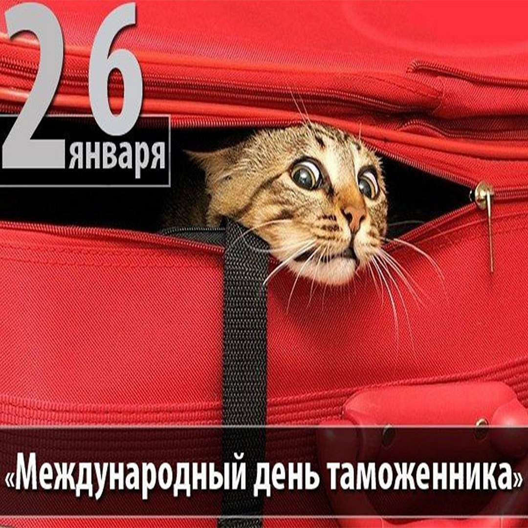 День таможни 2022 году