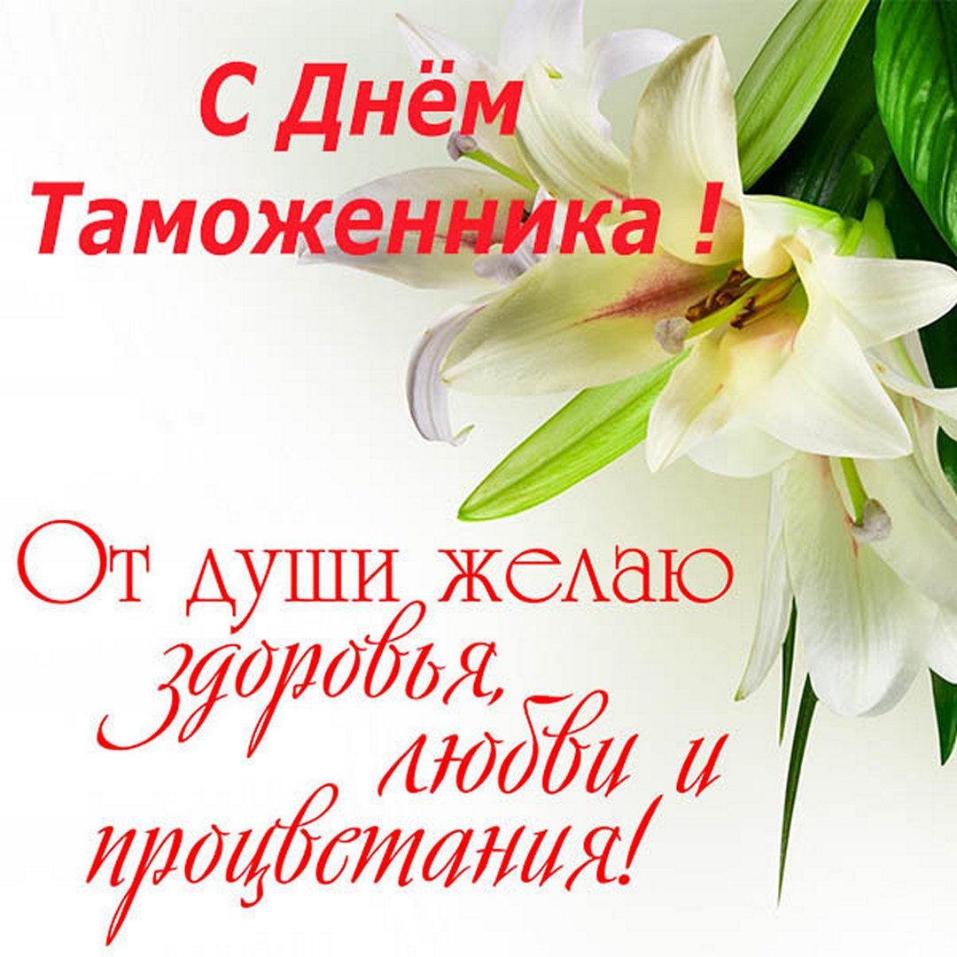 День таможенника открытки