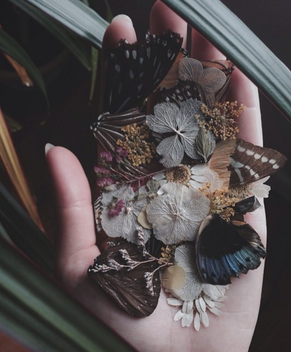 Идеи для коллекционирования