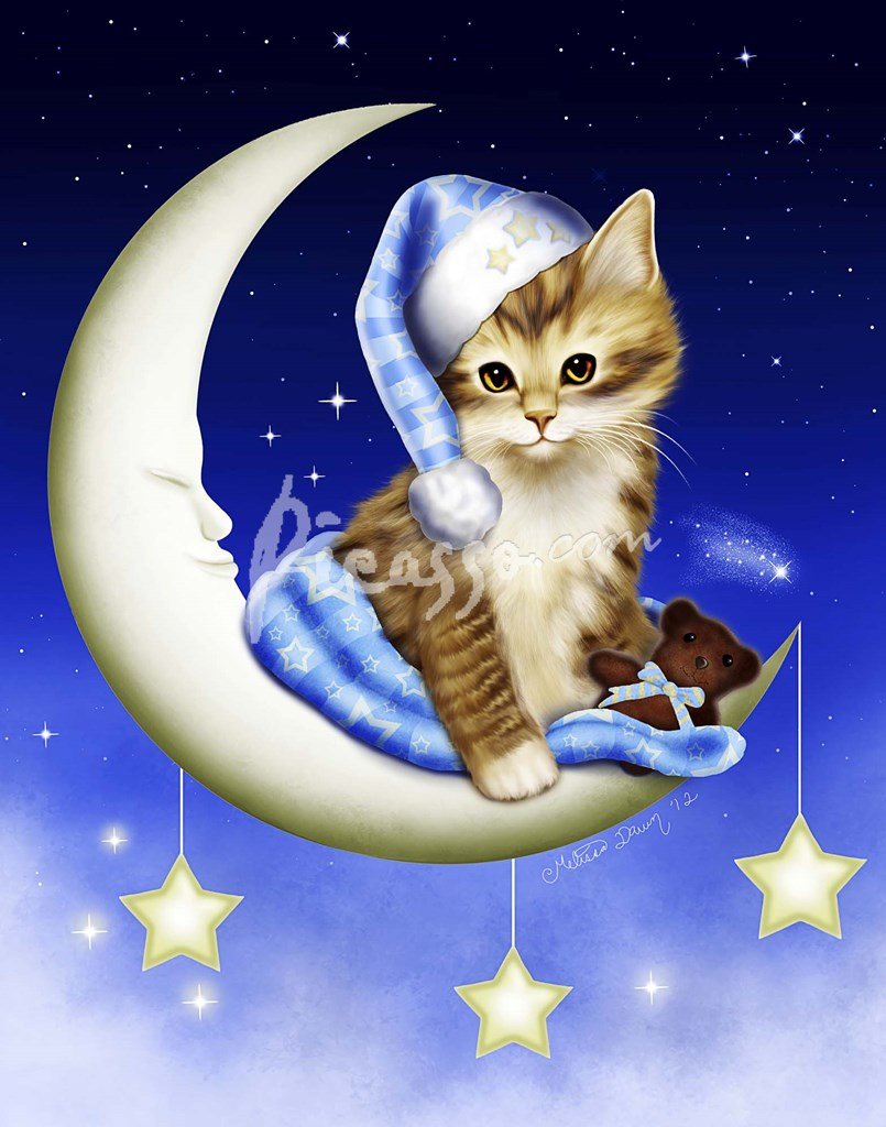 Котенок спит