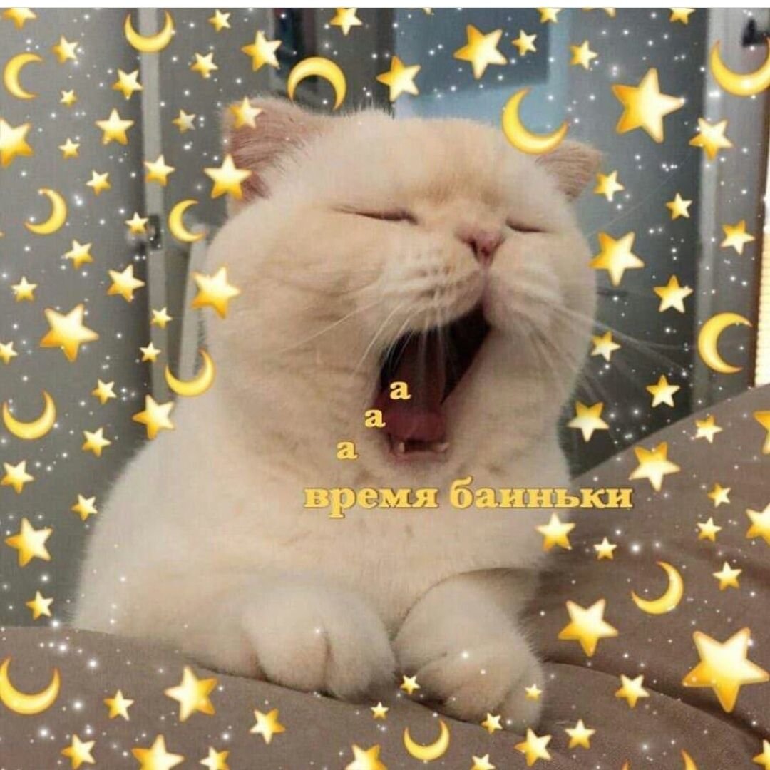 Кот в варежках