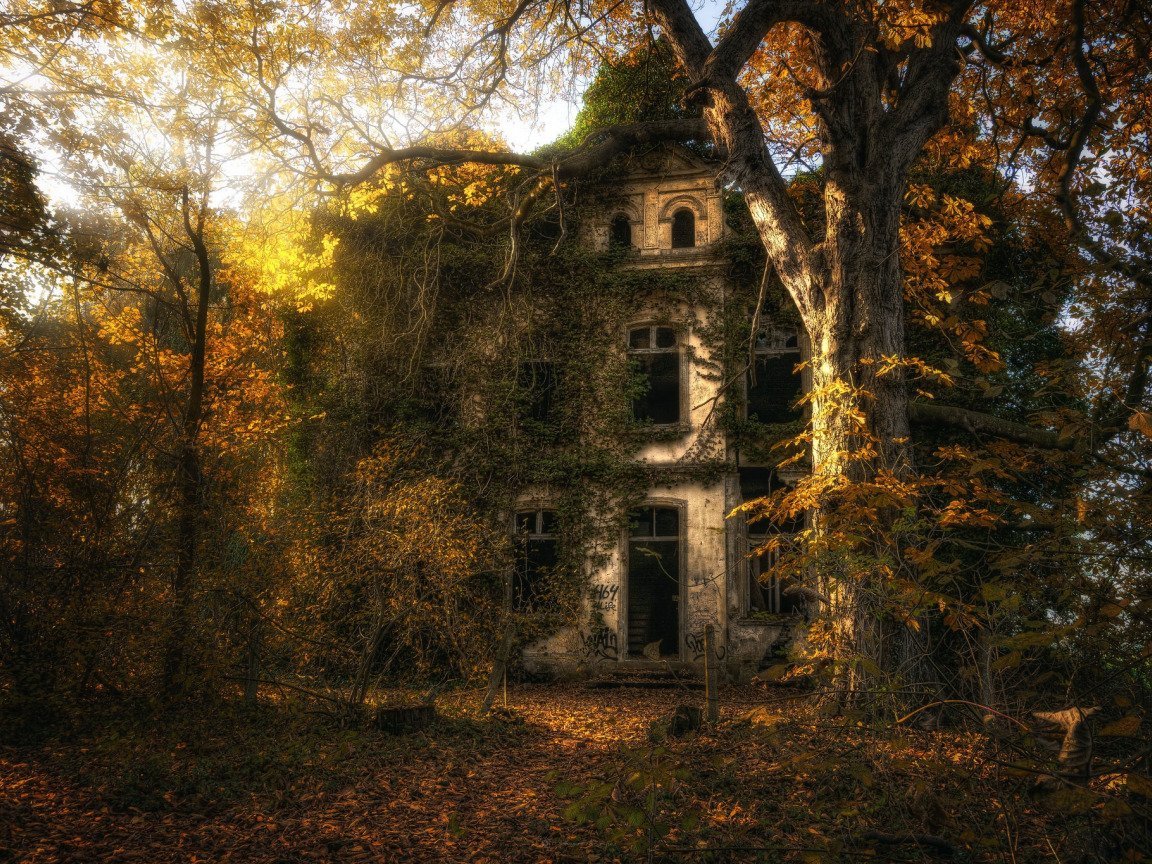 Поселок Форест заброшенный