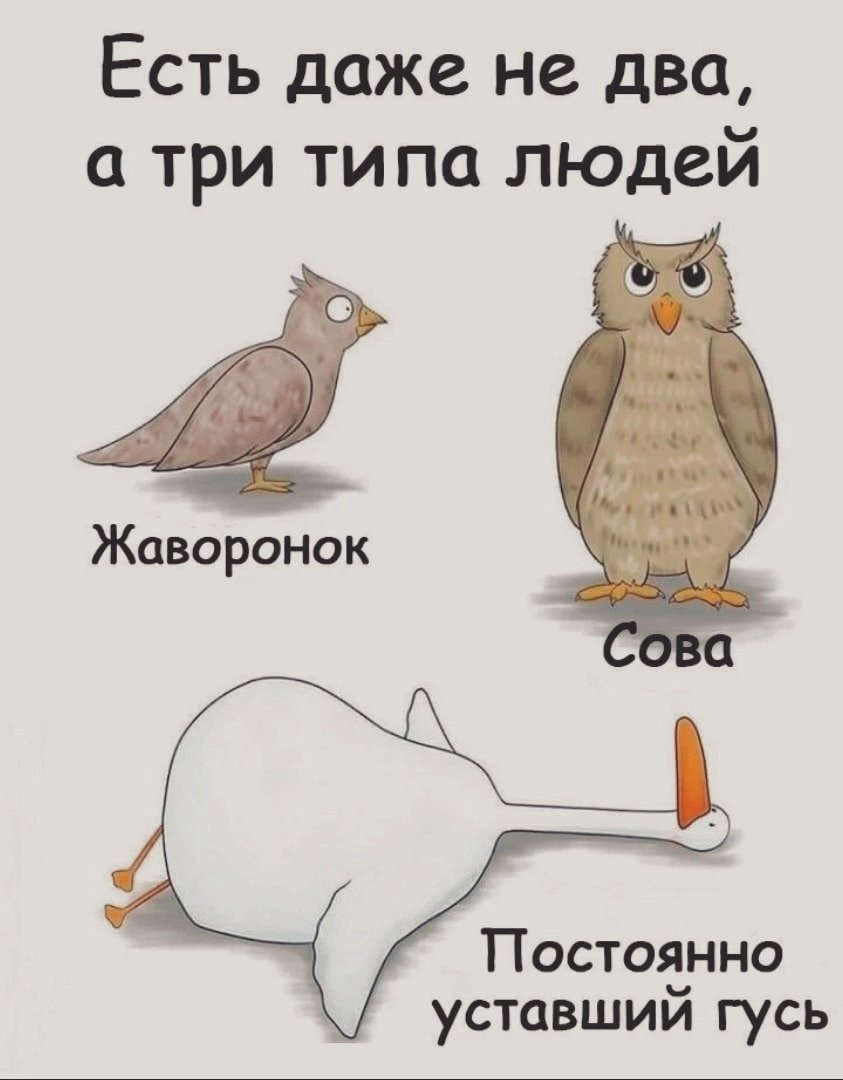 Гусь комикс