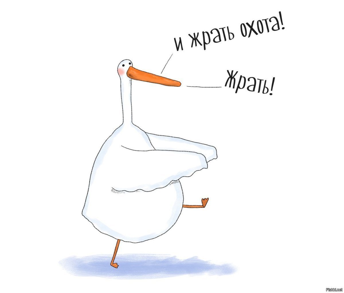 Вещи которым меня не научили в школе