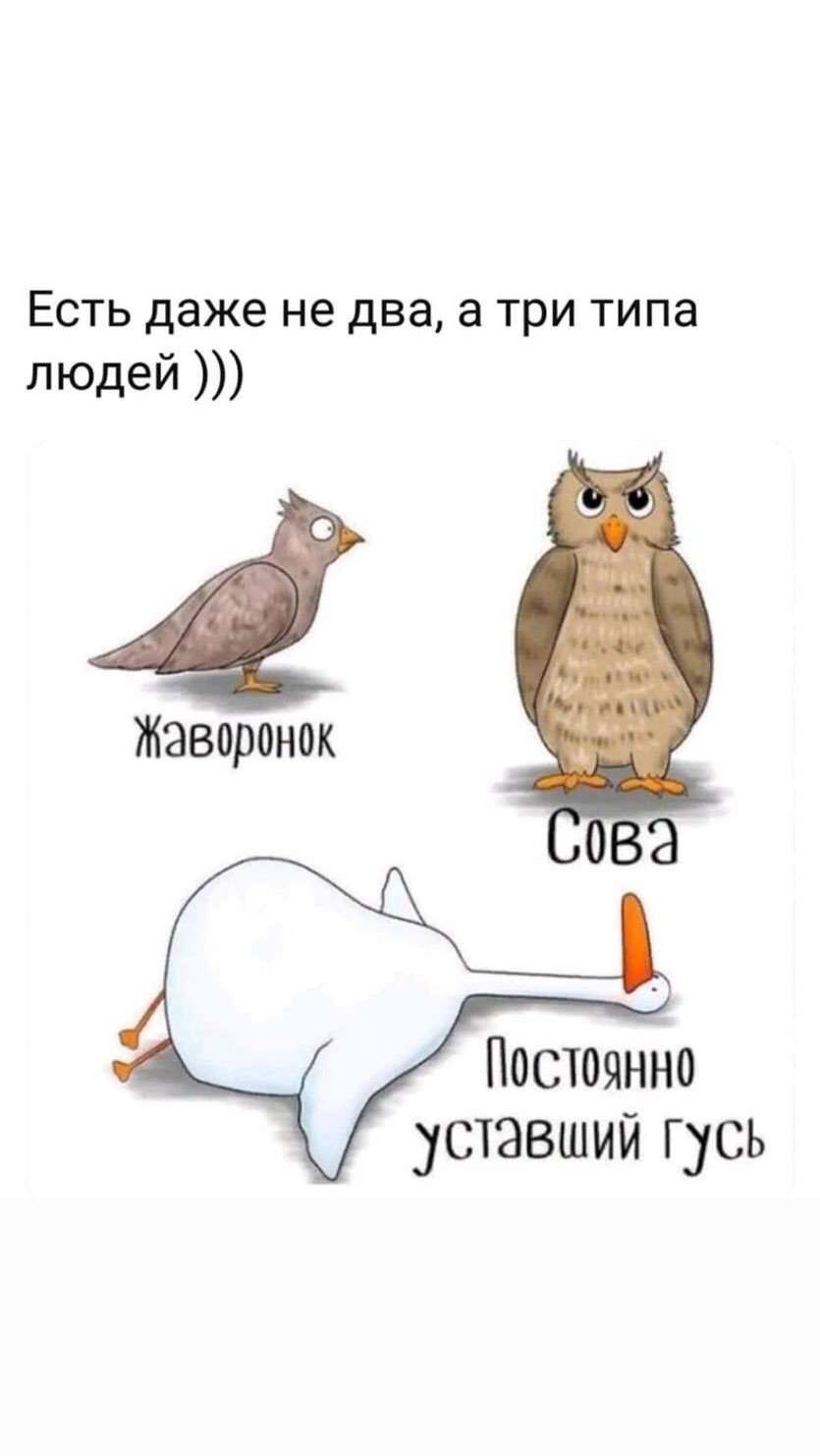 Утка с сигаретой
