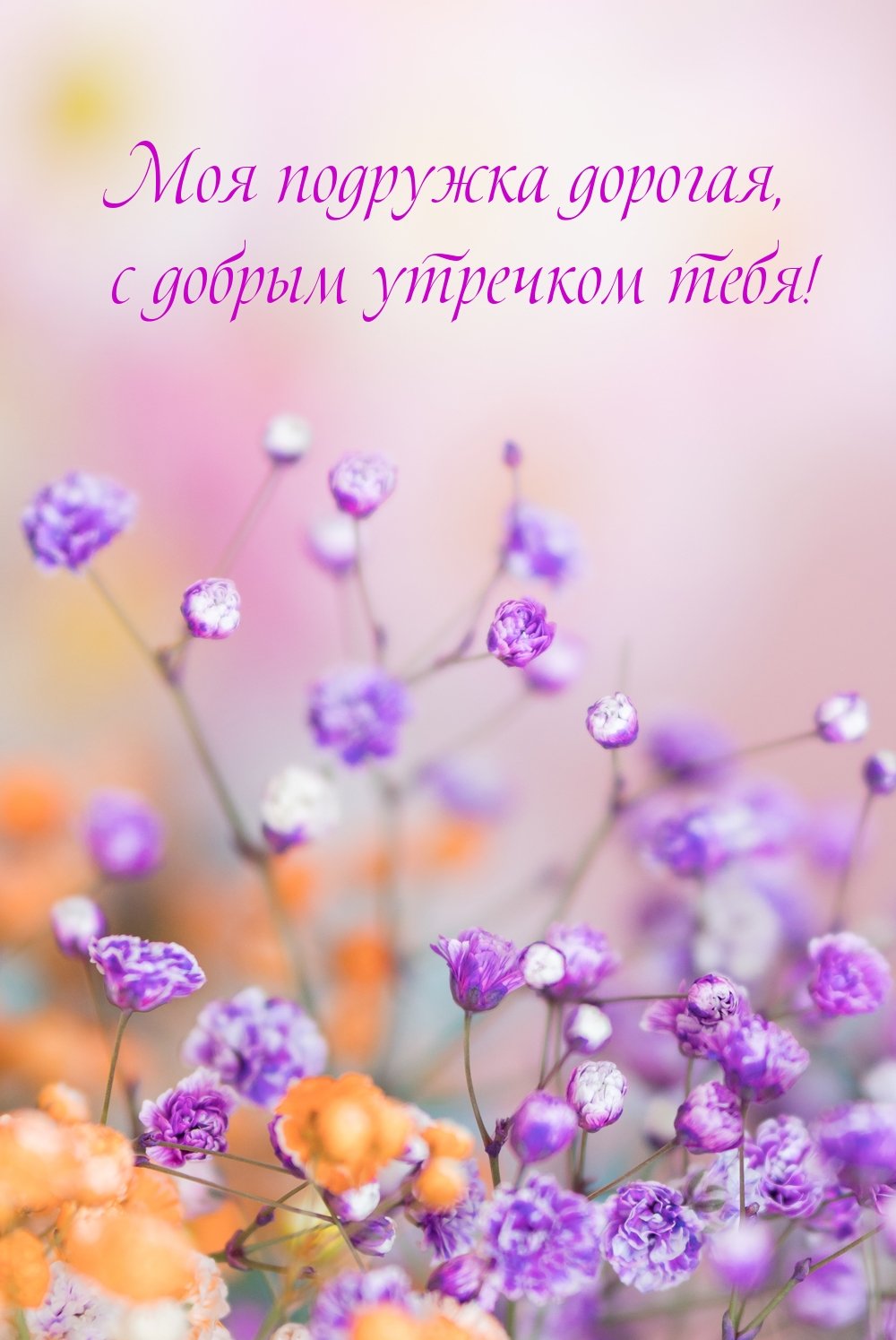 Поздравления с добрым утром подруге