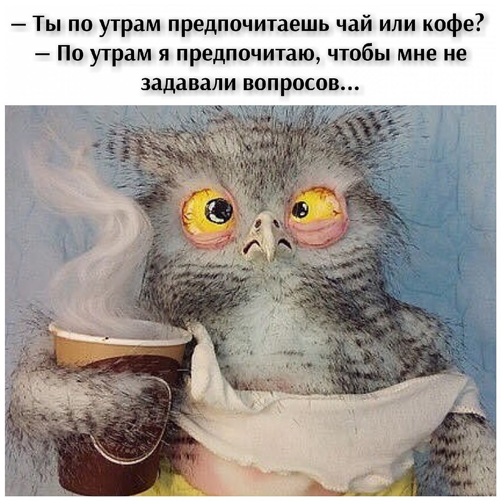 Синяя птица мультфильм