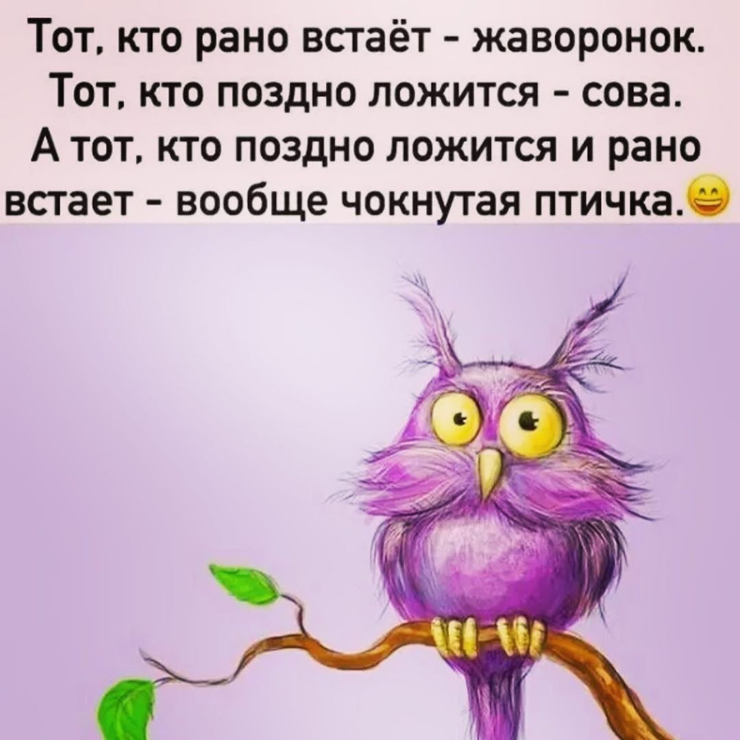 Смешные открытки для поднятия настроения