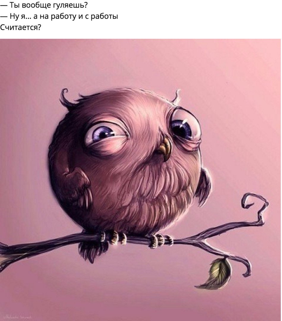 Взъерошенный Совенок