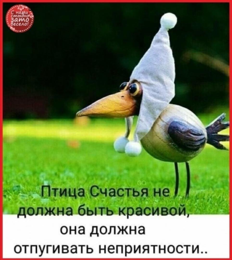 Прикольные птички рисунки