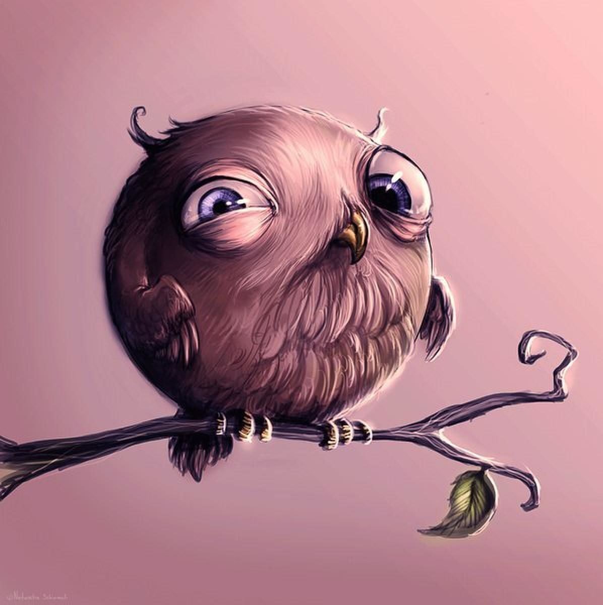 Странные птицы