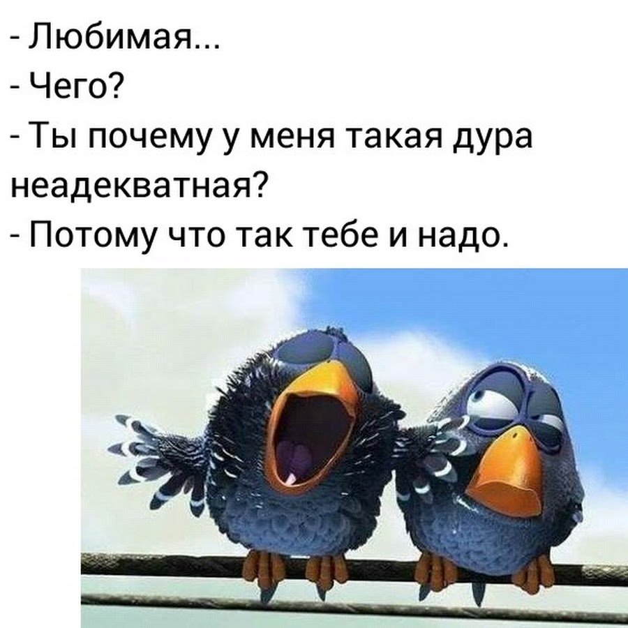 Птички из мультика Пиксар