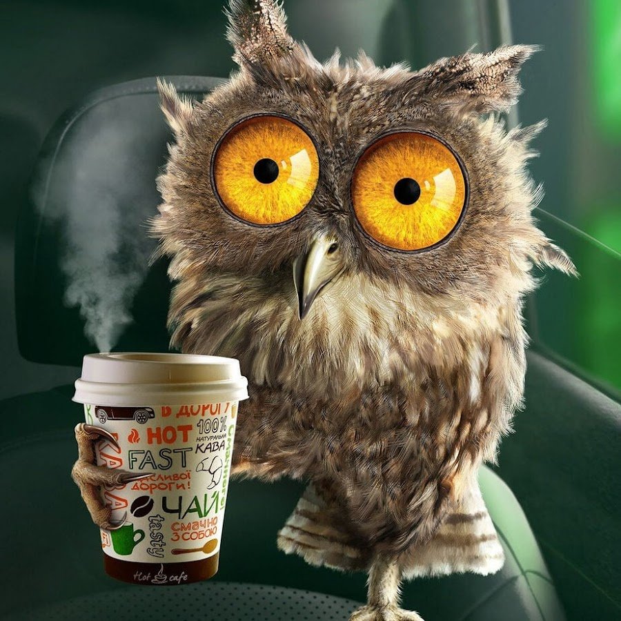 Синие птички на проводе