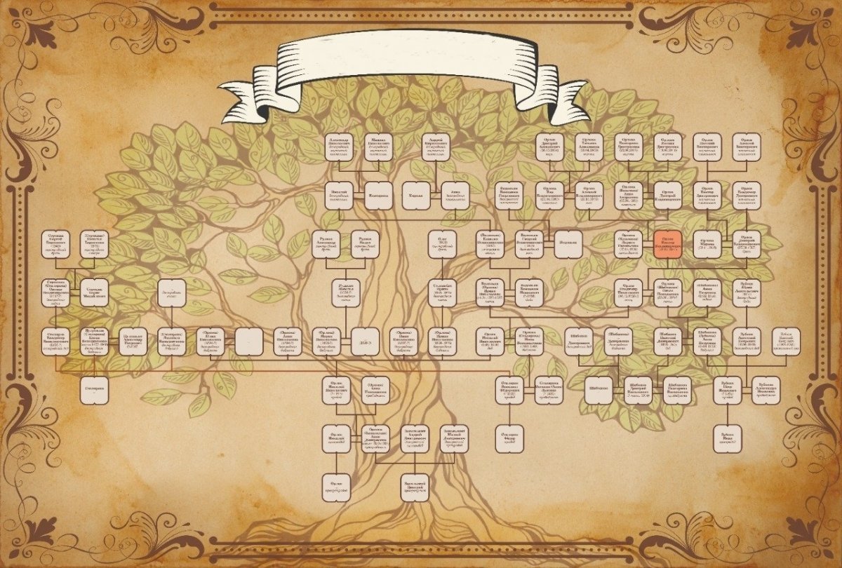 Генеалогия генеалогическое Древо