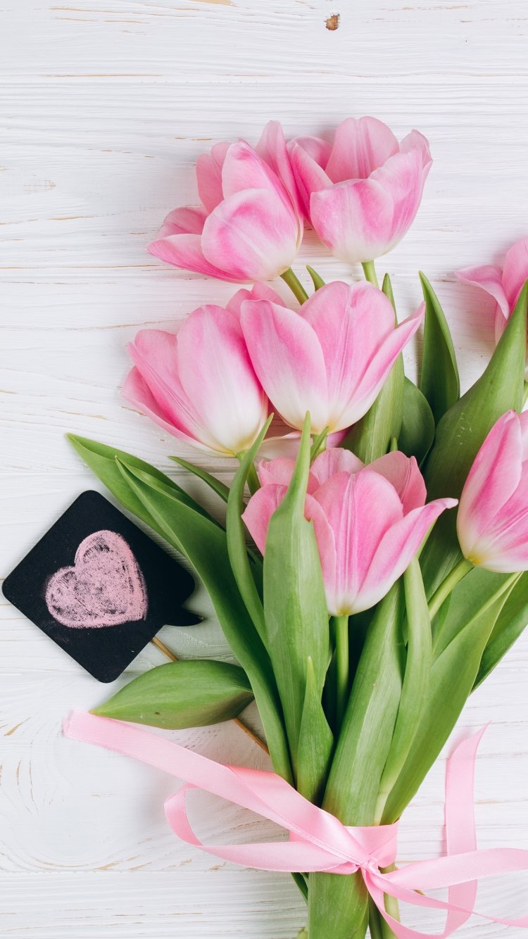 Цветы тюльпаны