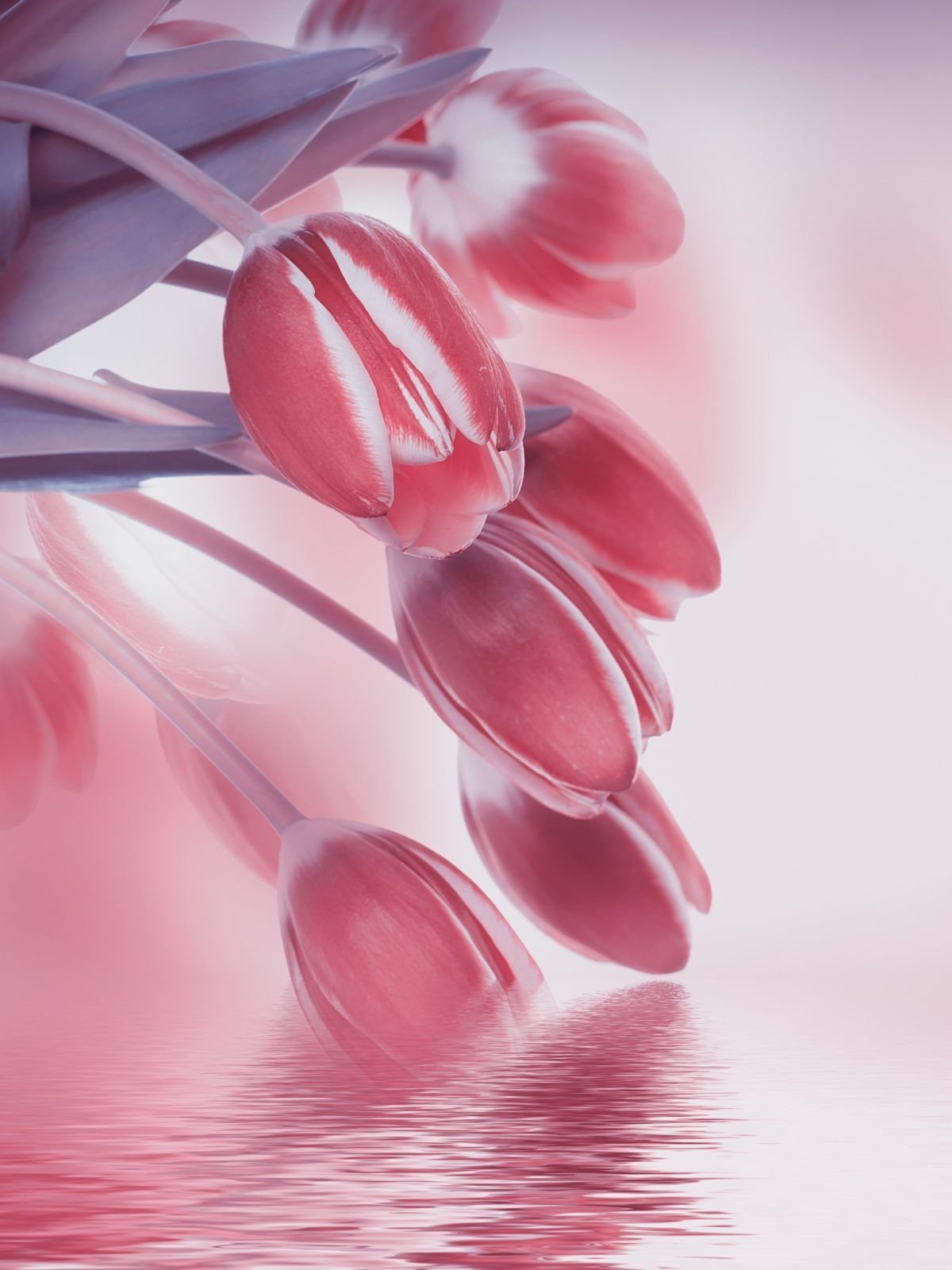 Телевизор Erisson 50flea18t2sm