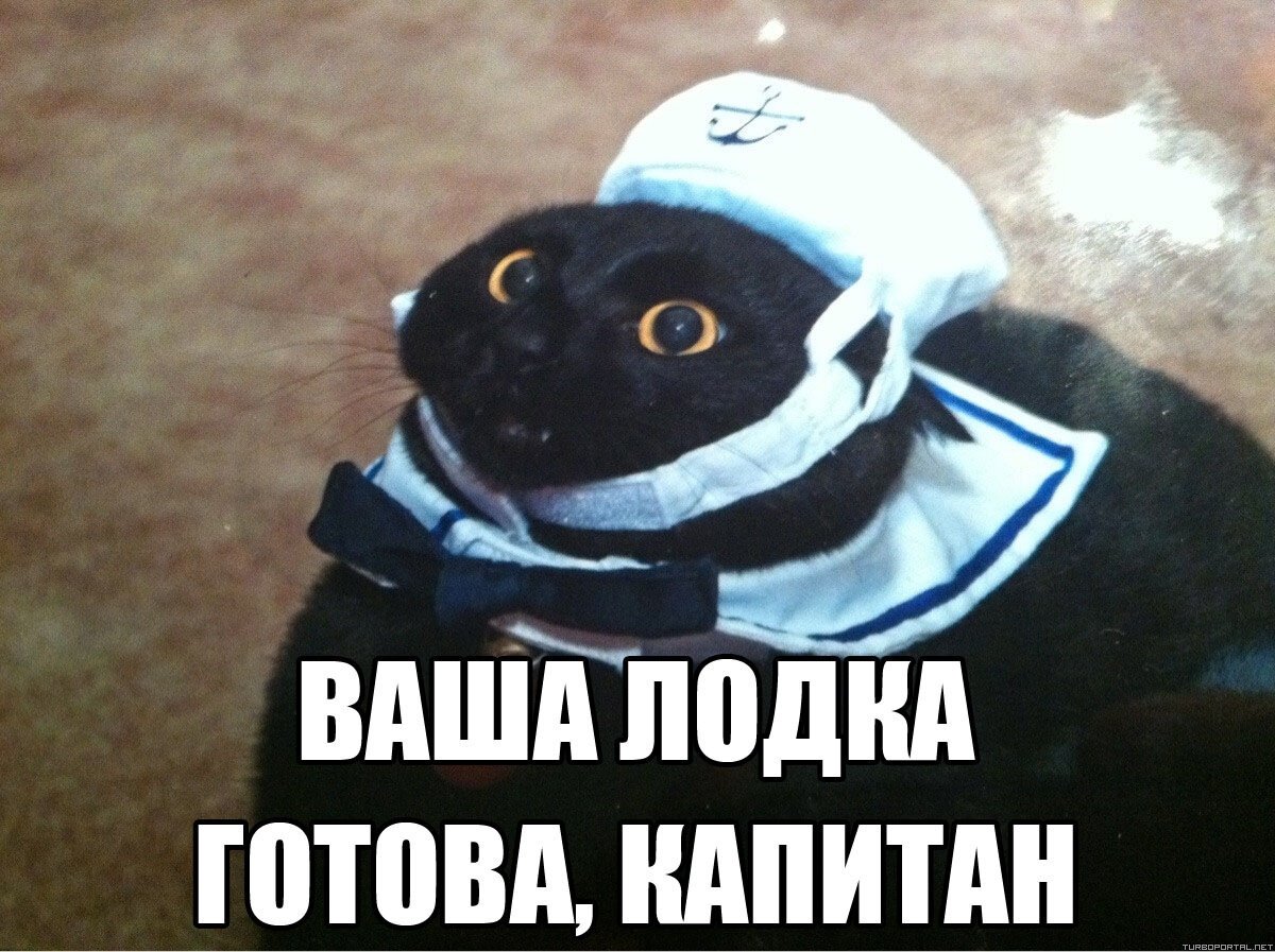 Капитан очевидность картинки