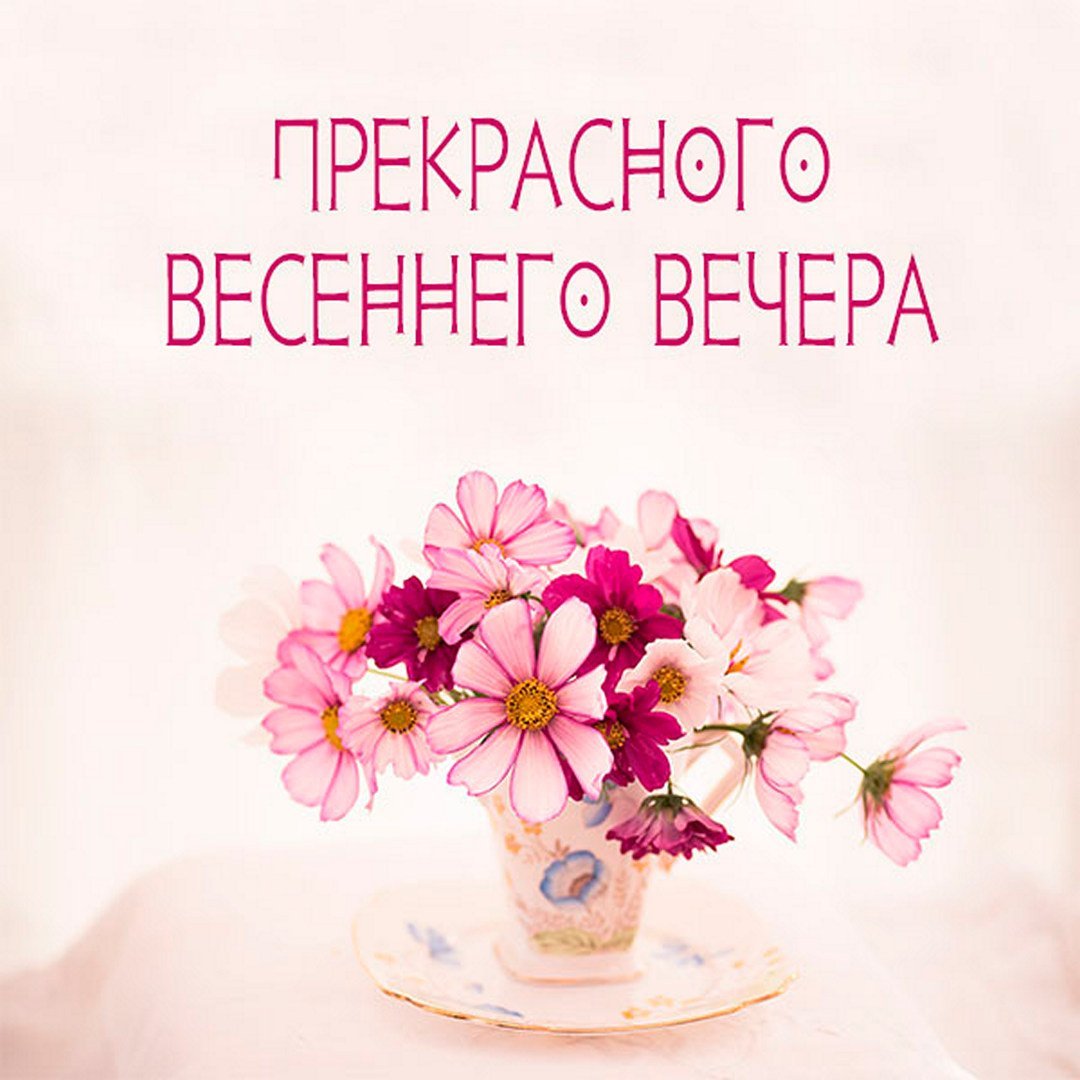 Поздравляю картинки картинки красивые