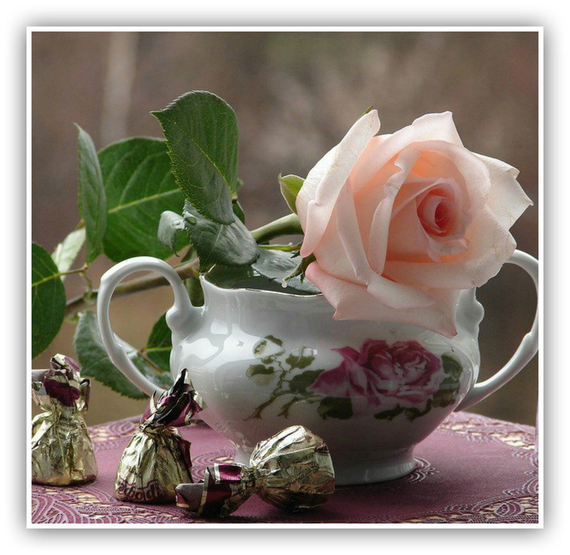 Уютного воскресного весеннего вечера