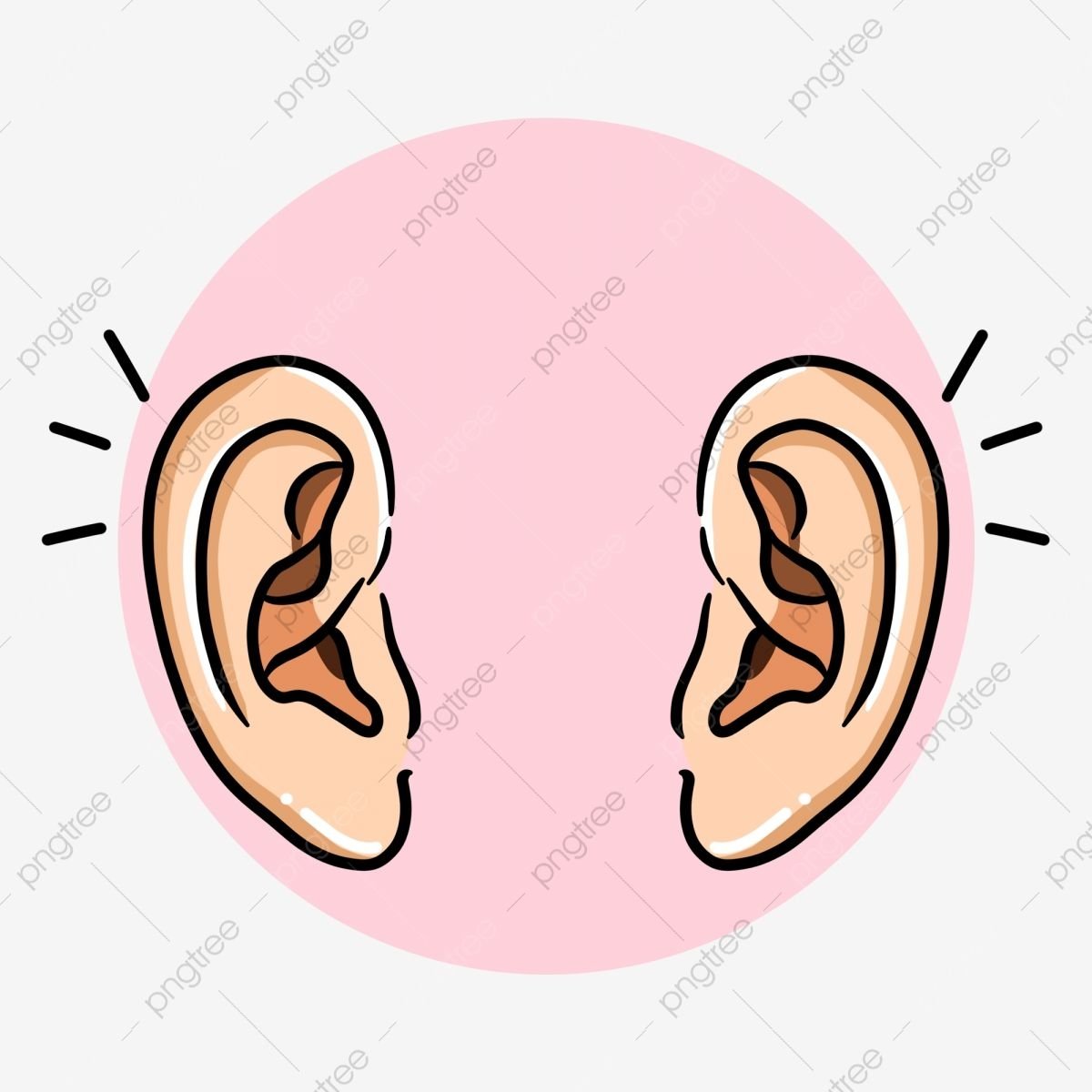 Ухо человека на белом фоне