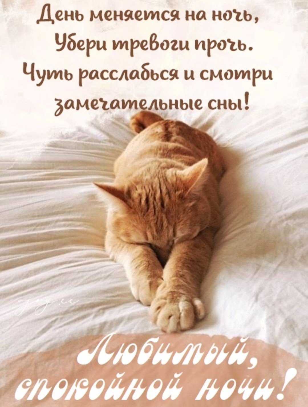 Доброй ночи сладких снов мужчине