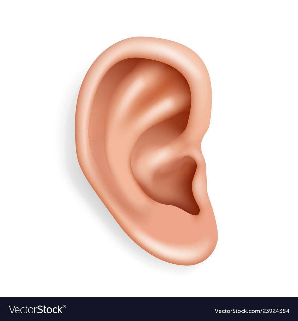 Мультяшные уши человека