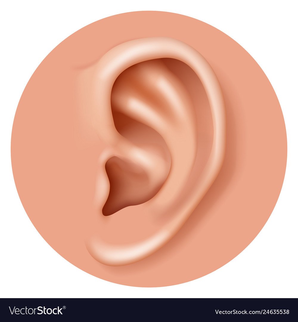 Ухо мультяшка