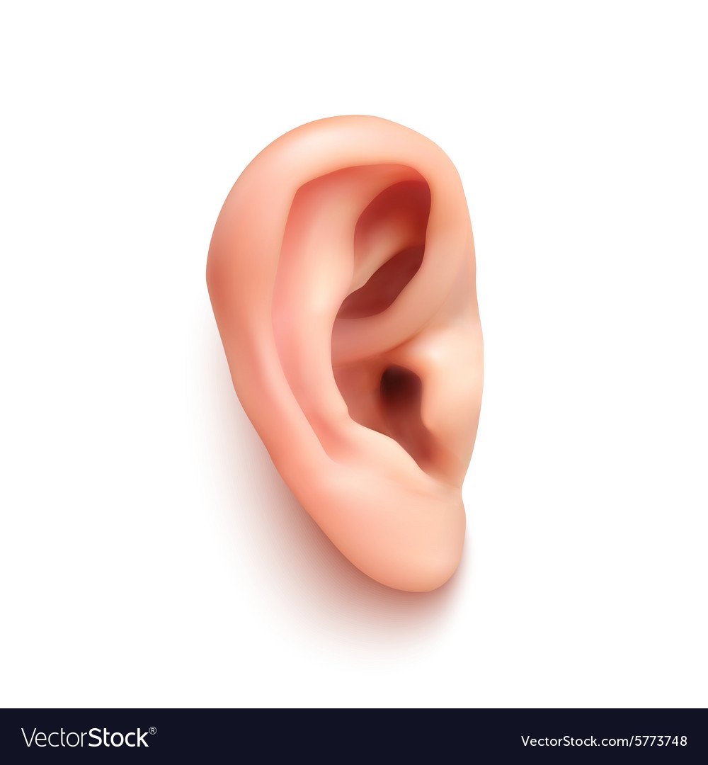 Ухо мультяшное