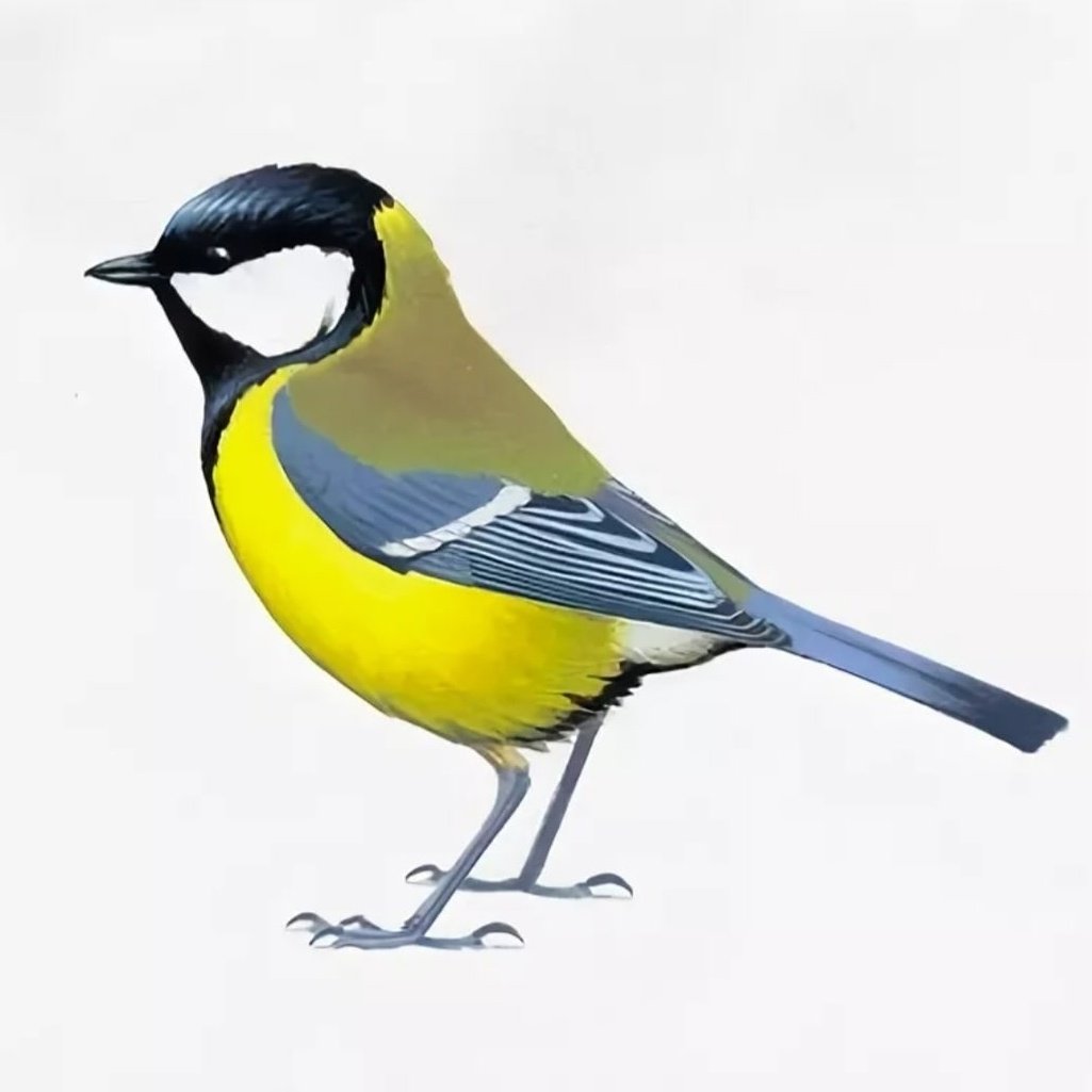 Синица для детей