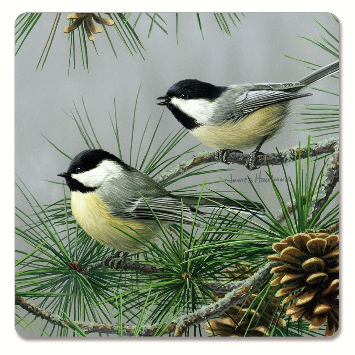 James Hautman картины