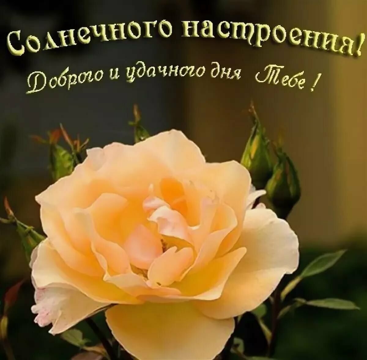 Открытки на каждый день