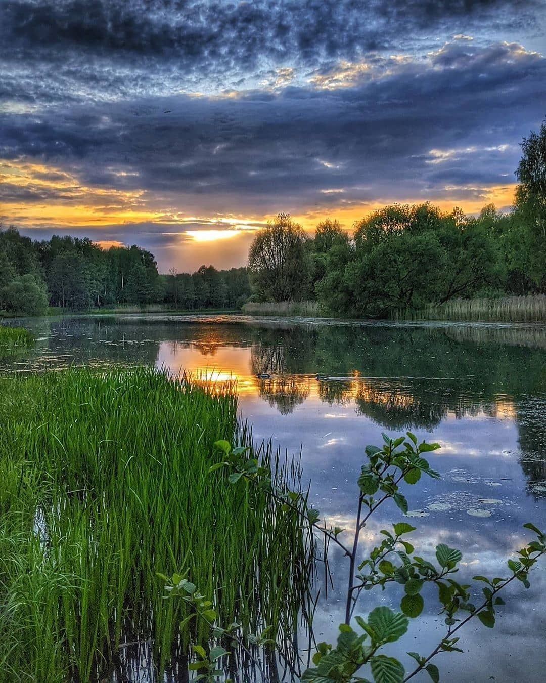 Фото природы в хорошем качестве