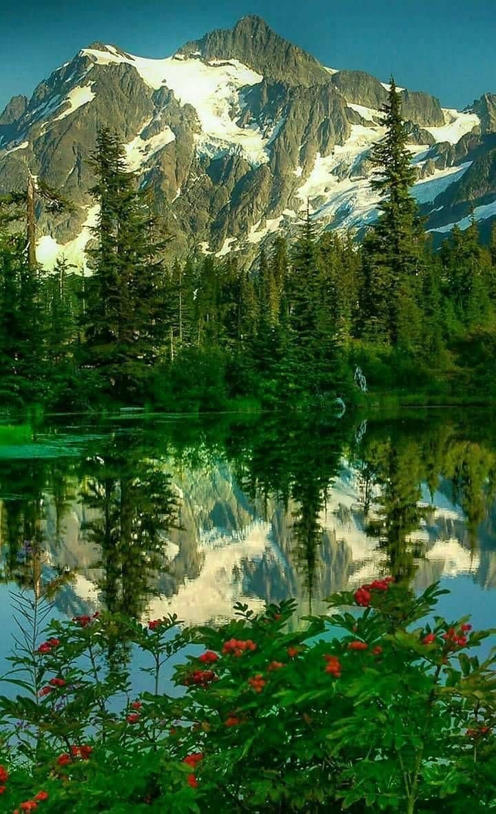 Природа красотища