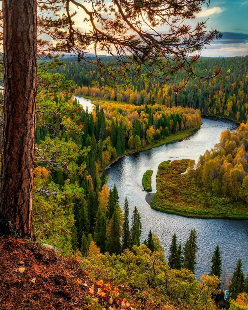 Какая красотища картина