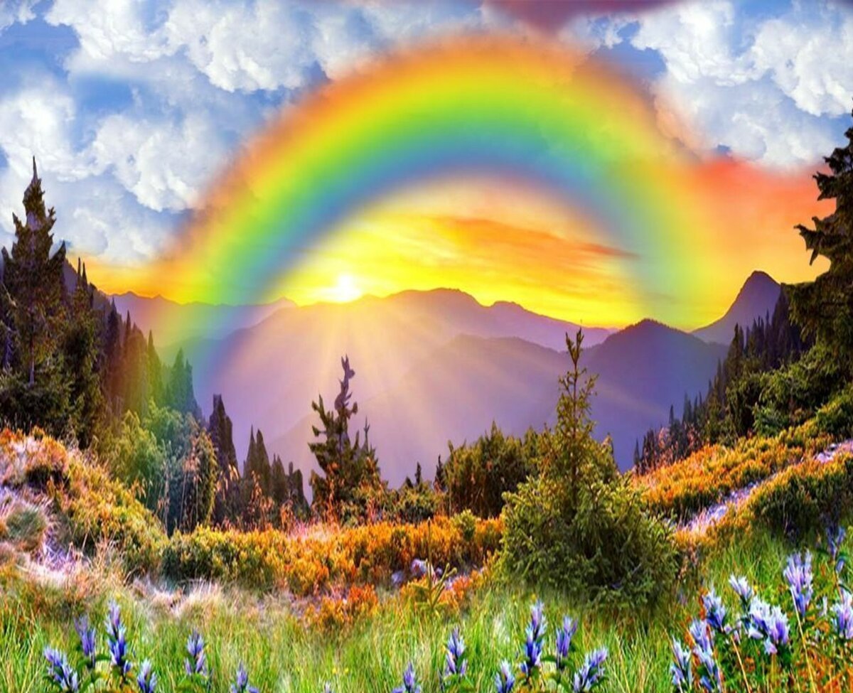 Ирландия Вереск поля скалы