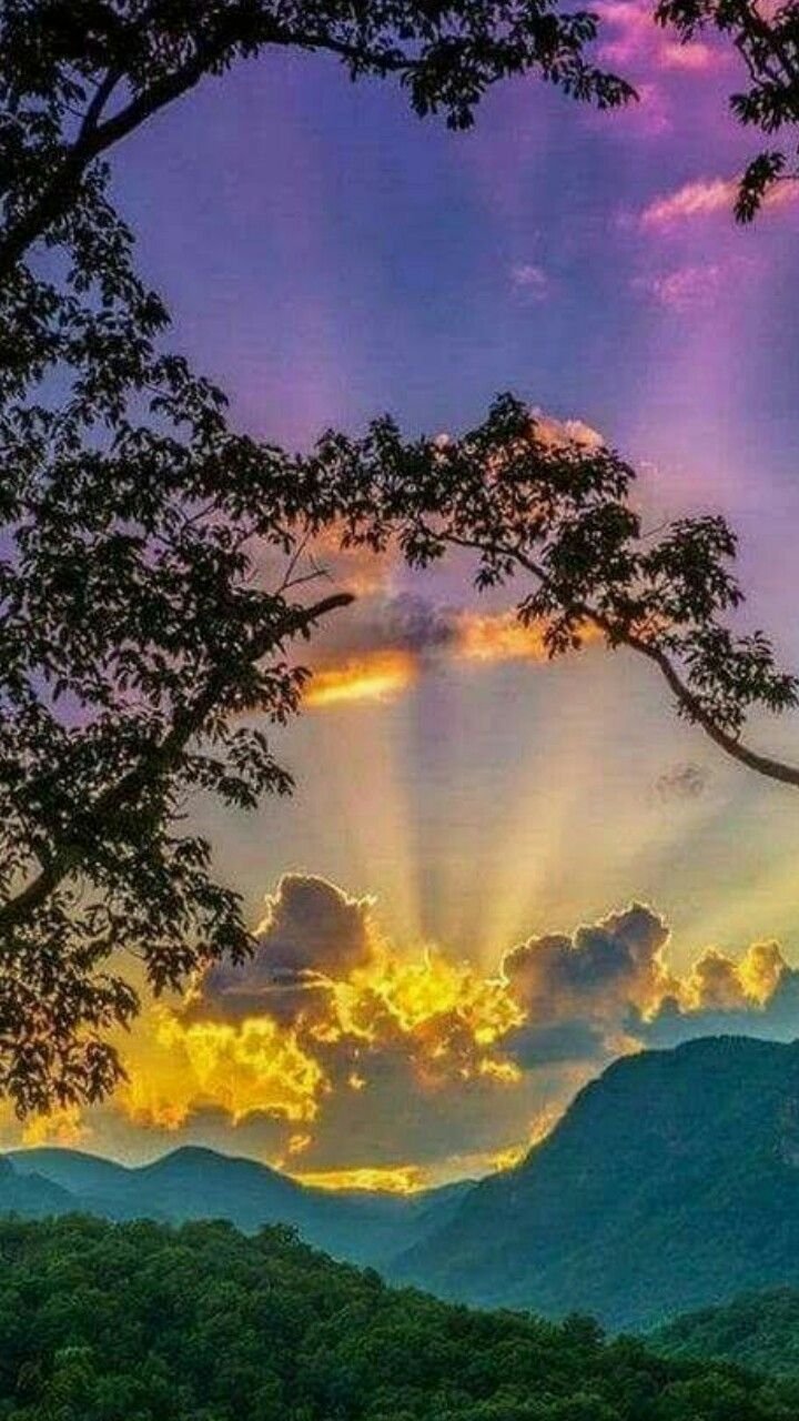 Прекрасный мир природы