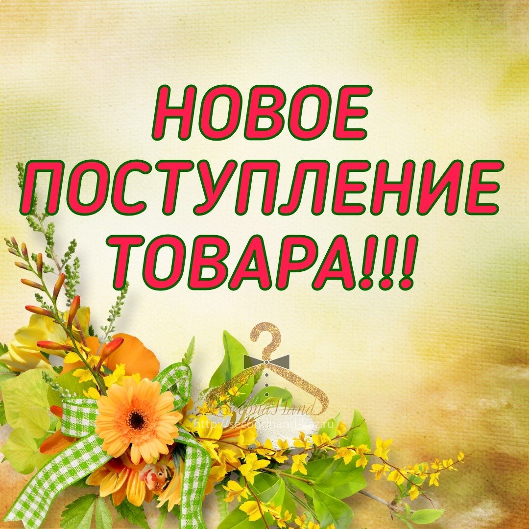 Новое поступление