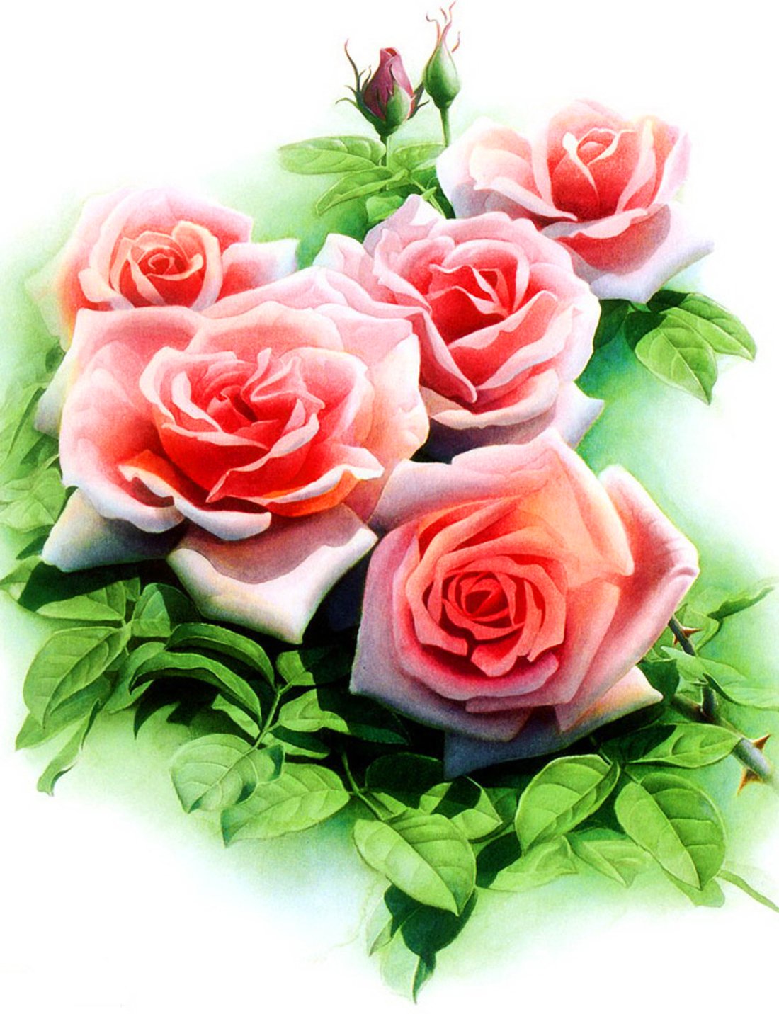 Спасибо очень понравилось