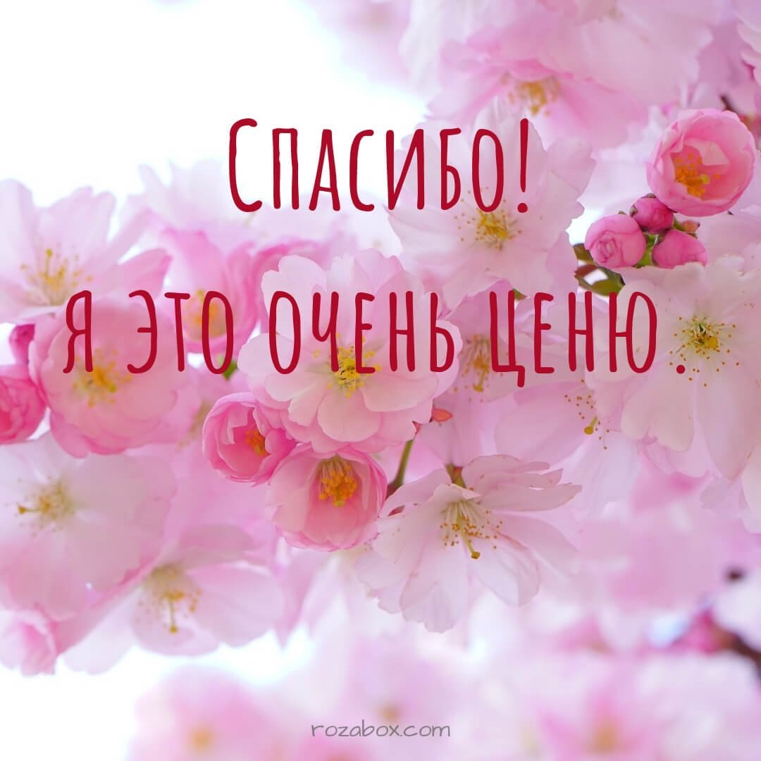 Открытки спасибо большое мужчине