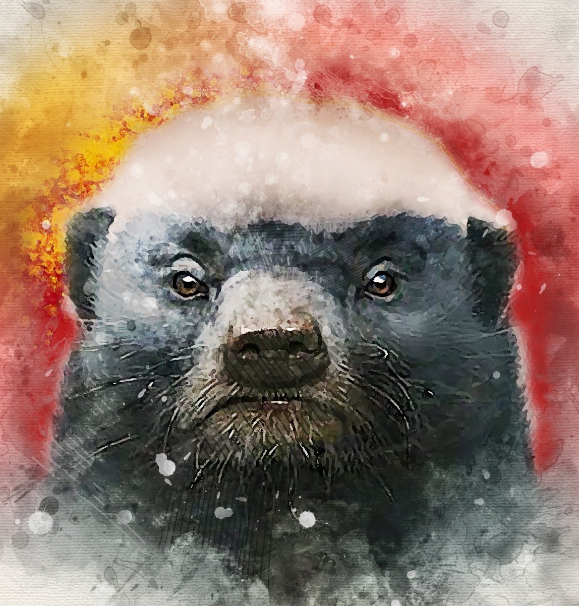 Медоед силуэт