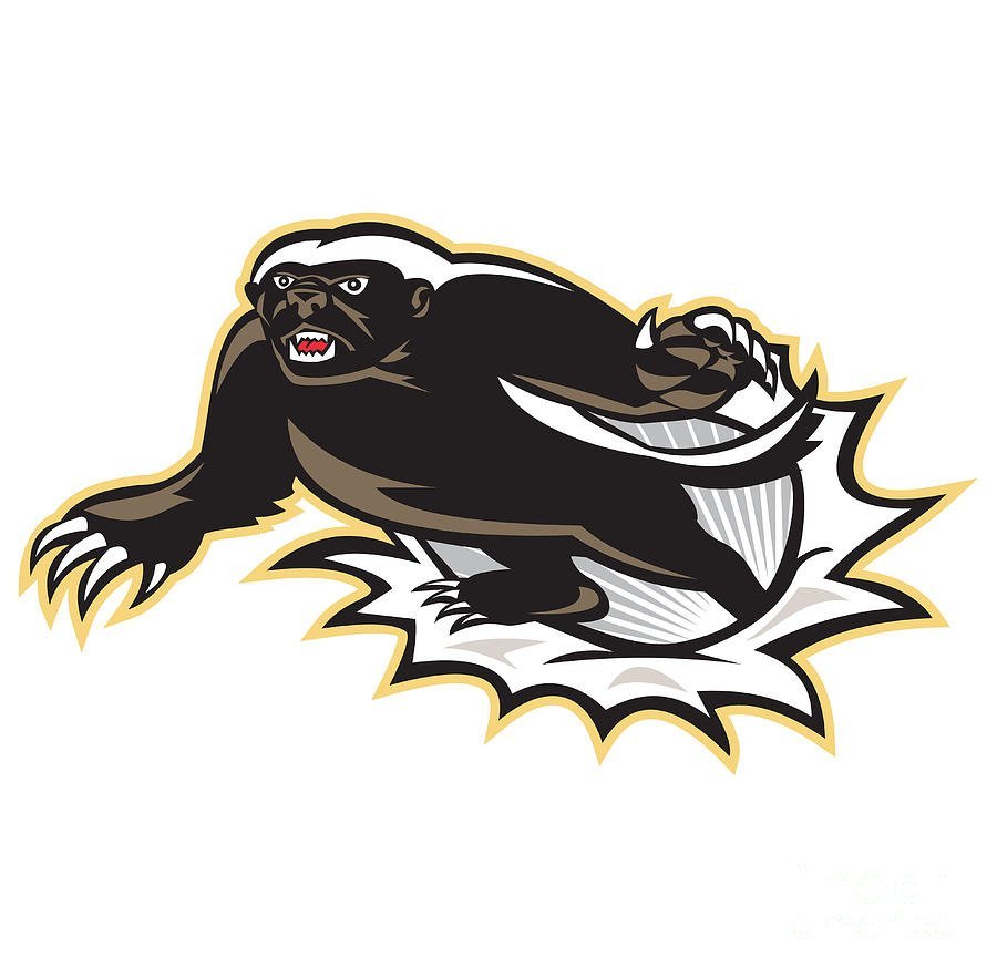 Медоед Графика