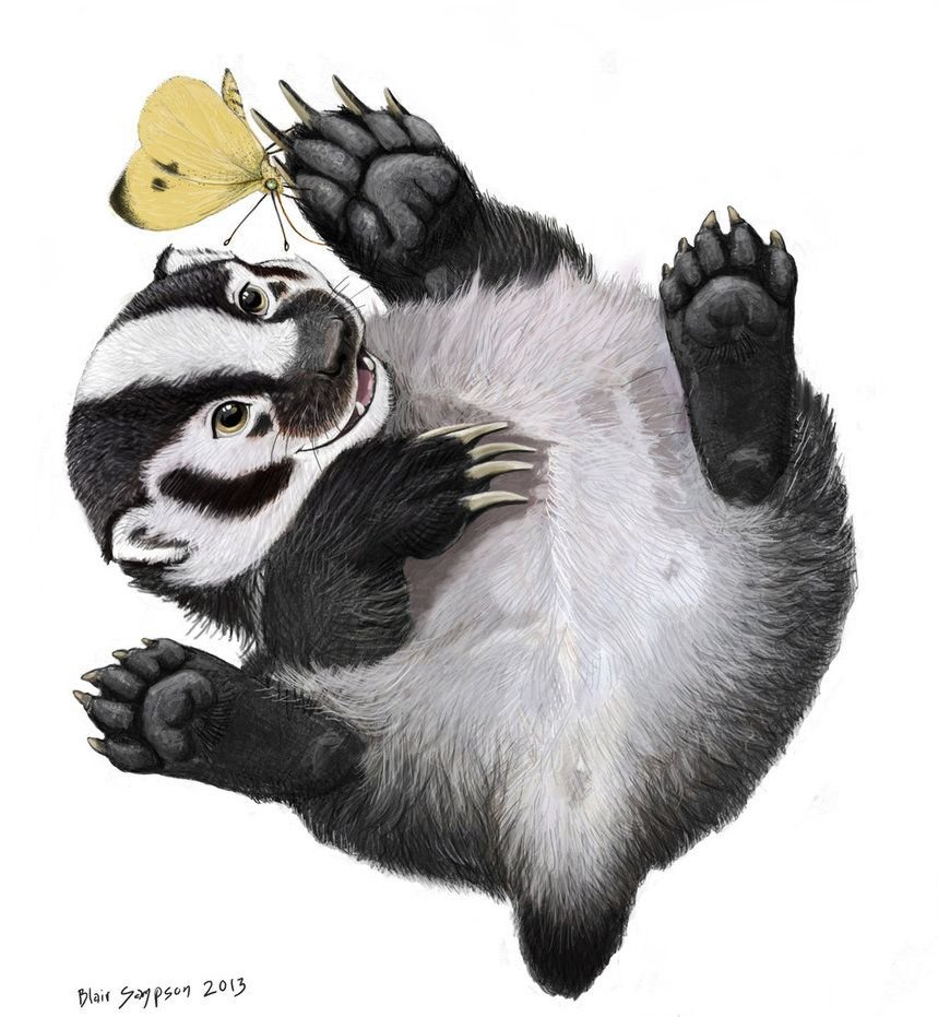 Медоед с медом рисунок