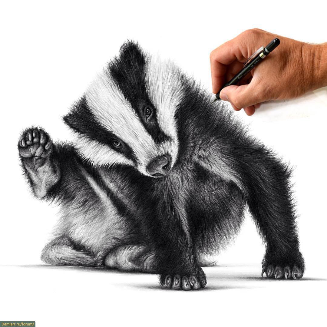 Медоед аватар