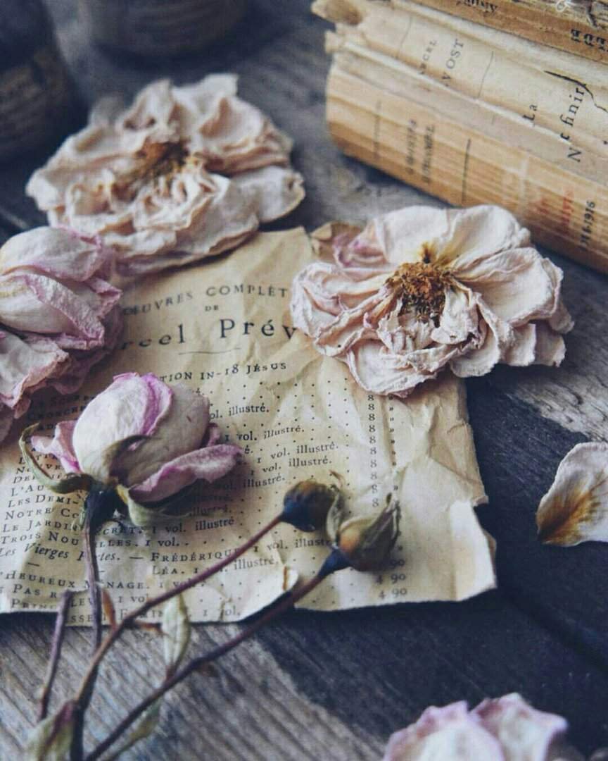 Засохшие цветы