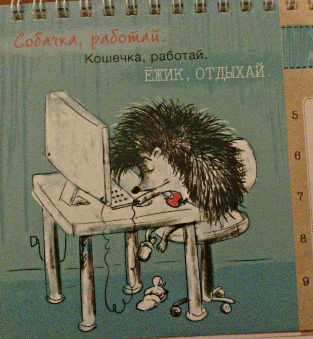 Ежик за компом