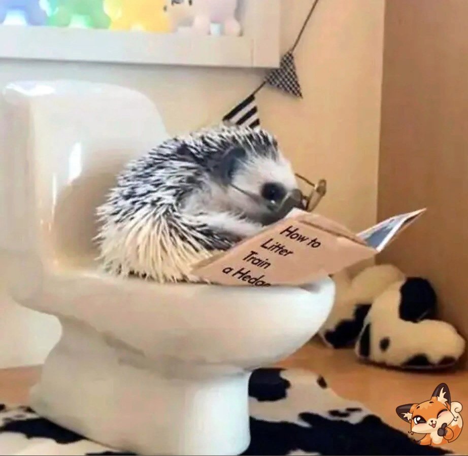 Ежик для унитаза